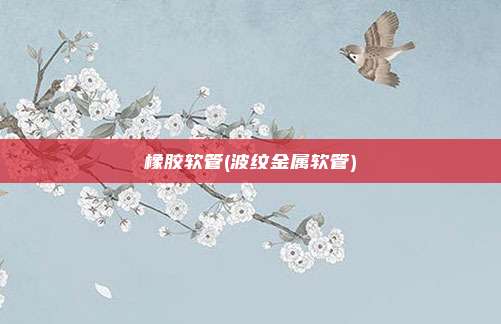 橡胶软管(波纹金属软管)