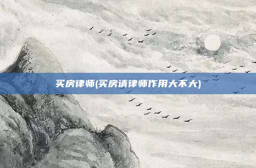 买房律师(买房请律师作用大不大)
