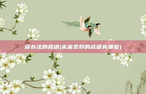 没办法的成语(末来美好的成语有哪些)