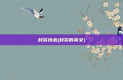 封装技术(封装的英文)