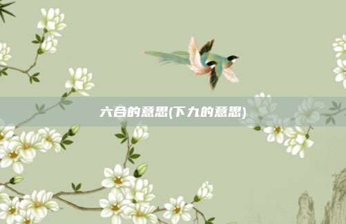 六合的意思(下九的意思)