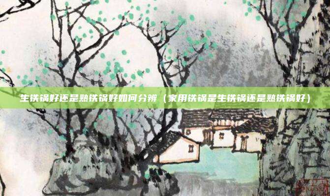 生铁锅好还是熟铁锅好如何分辨(家用铁锅是生铁锅还是熟铁锅好)