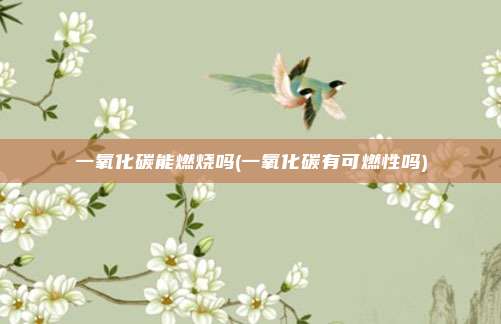 一氧化碳能燃烧吗(一氧化碳有可燃性吗)