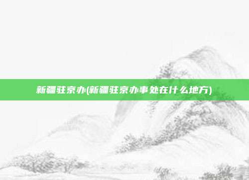 新疆驻京办(新疆驻京办事处在什么地方)