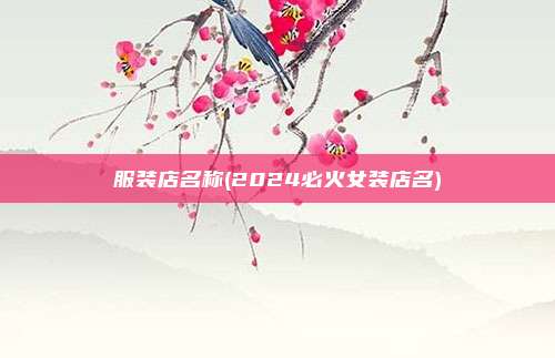服装店名称(2024必火女装店名)