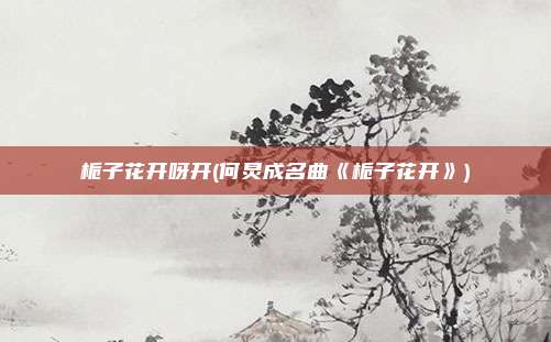 栀子花开呀开(何炅成名曲《栀子花开》)