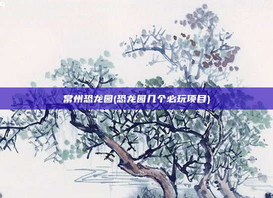 常州恐龙园(恐龙园几个必玩项目)