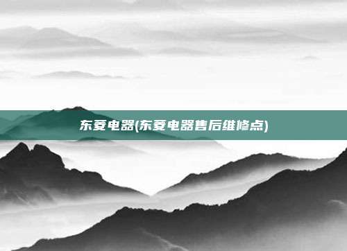 东菱电器(东菱电器售后维修点)