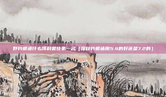 野钓鲫鱼什么饵料最佳第一名(深秋钓鲫鱼用5.4的好还是7.2的)