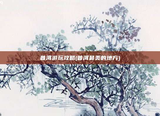 普洱游玩攻略(普洱最美的地方)