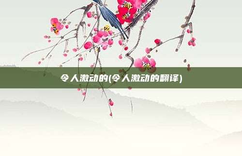 令人激动的(令人激动的翻译)