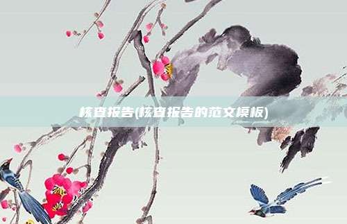 核查报告(核查报告的范文模板)