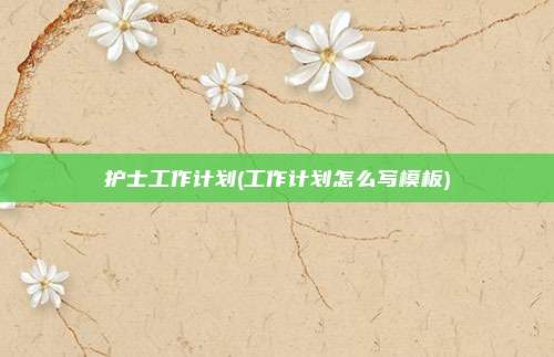 护士工作计划(工作计划怎么写模板)