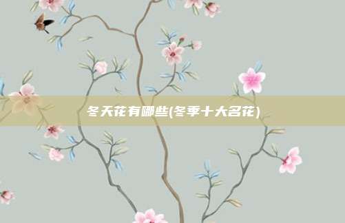 冬天花有哪些(冬季十大名花)