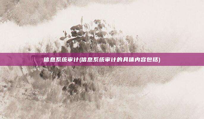 信息系统审计(信息系统审计的具体内容包括)
