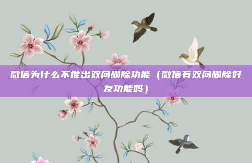 微信为什么不推出双向删除功能(微信有双向删除好友功能吗)