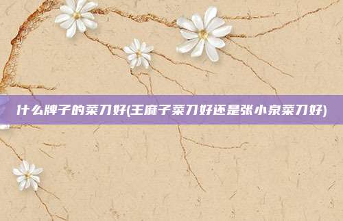 什么牌子的菜刀好(王麻子菜刀好还是张小泉菜刀好)