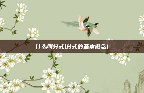 什么叫分式(分式的基本概念)