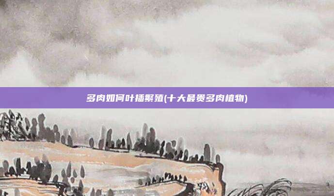 多肉如何叶插繁殖(十大最贵多肉植物)