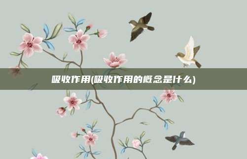 吸收作用(吸收作用的概念是什么)