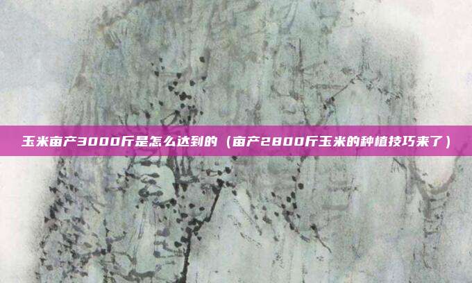 玉米亩产3000斤是怎么达到的(亩产2800斤玉米的种植技巧来了)