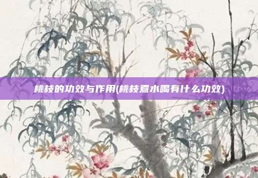 桃枝的功效与作用(桃枝煮水喝有什么功效)
