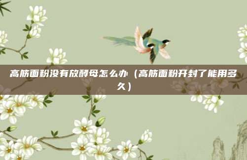 高筋面粉没有放酵母怎么办(高筋面粉开封了能用多久)