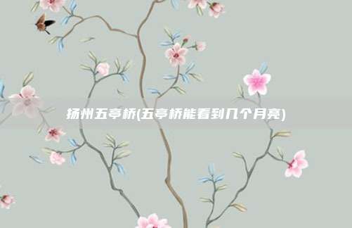 扬州五亭桥(五亭桥能看到几个月亮)