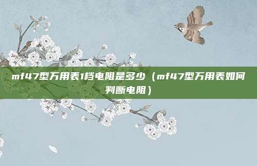 mf47型万用表1档电阻是多少（mf47型万用表如何判断电阻）
