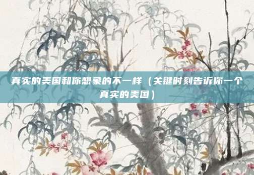 真实的美国和你想象的不一样（关键时刻告诉你一个真实的美国）