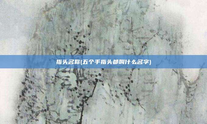 指头名称(五个手指头都叫什么名字)