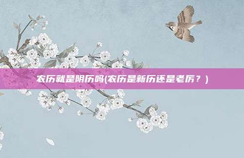 农历就是阴历吗(农历是新历还是老厉?)