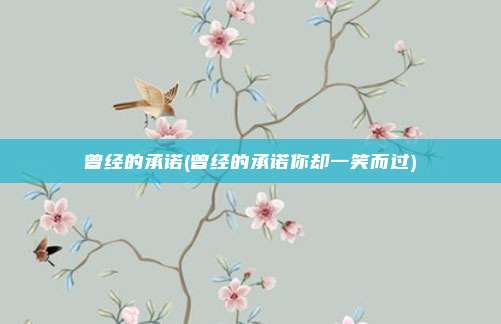 曾经的承诺(曾经的承诺你却一笑而过)