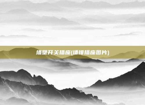 墙壁开关插座(墙排插座图片)