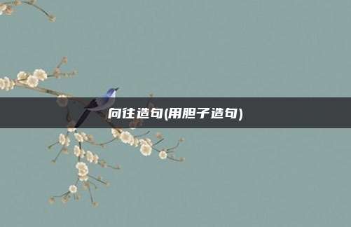 向往造句(用胆子造句)
