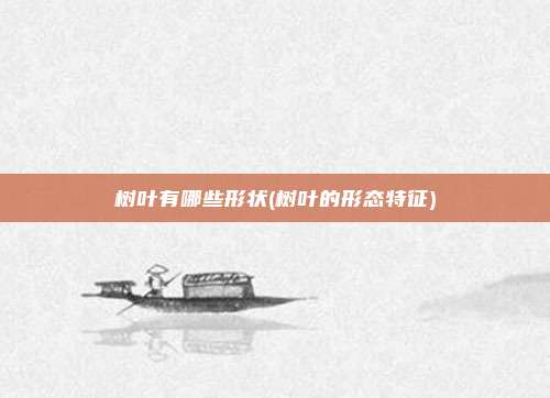 树叶有哪些形状(树叶的形态特征)