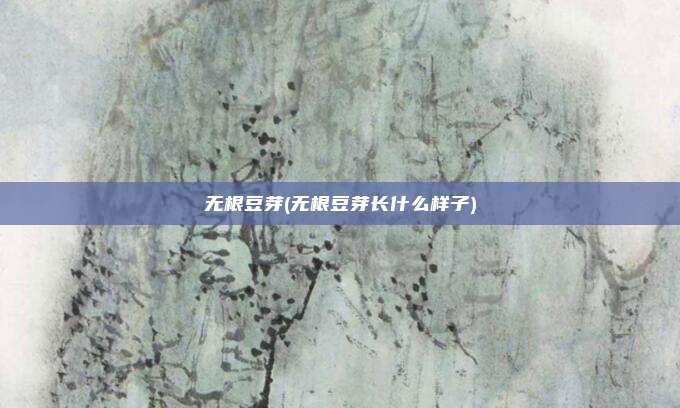 无根豆芽(无根豆芽长什么样子)