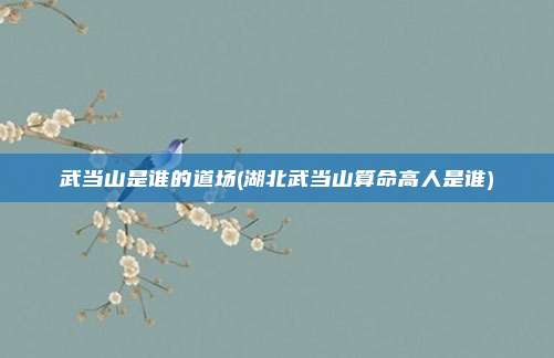 武当山是谁的道场(湖北武当山算命高人是谁)