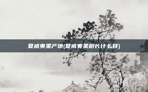 夏威夷果产地(夏威夷果树长什么样)