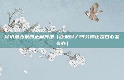 冷水煮西米的正确方法（西米焖了15分钟还是白心怎么办）