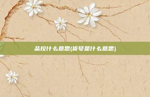 品控什么意思(货号是什么意思)