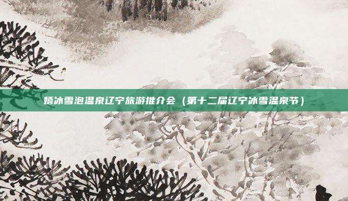嬉冰雪泡温泉辽宁旅游推介会（第十二届辽宁冰雪温泉节）