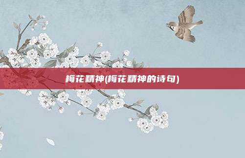梅花精神(梅花精神的诗句)