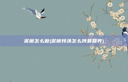 泥鳅怎么做(泥鳅炖汤怎么炖最营养)