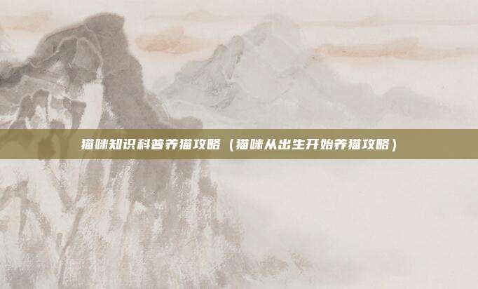 猫咪知识科普养猫攻略（猫咪从出生开始养猫攻略）