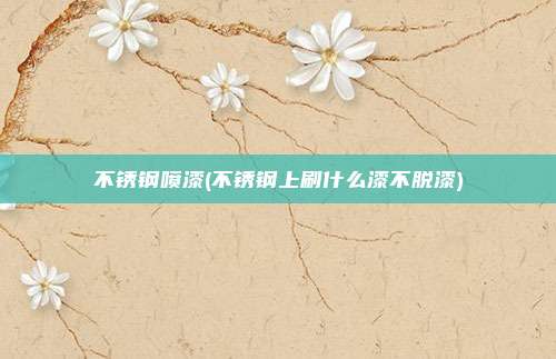 不锈钢喷漆(不锈钢上刷什么漆不脱漆)