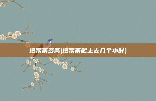 抱犊寨多高(抱犊寨爬上去几个小时)