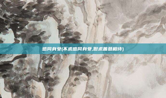 感同身受(不求感同身受,但求善意相待)