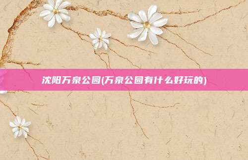 沈阳万泉公园(万泉公园有什么好玩的)