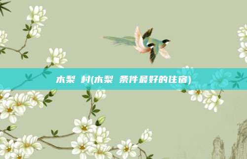 木梨硔村(木梨硔条件最好的住宿)